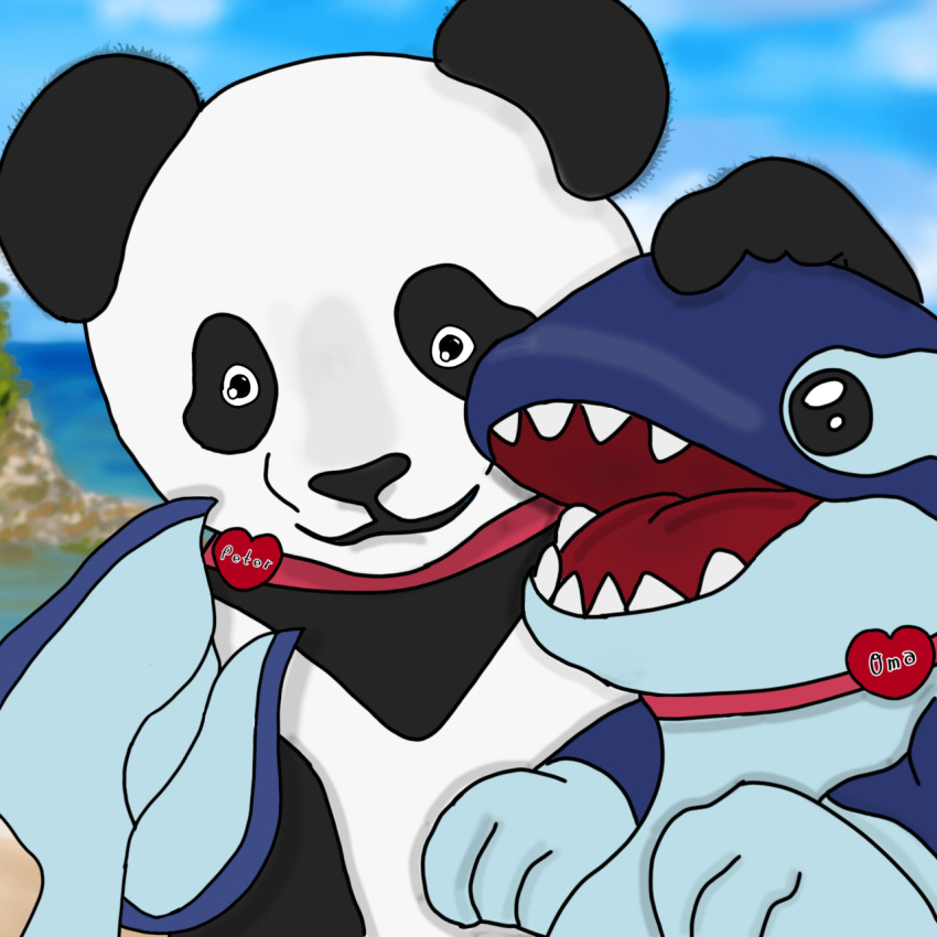collar couple friends orca orcane panda