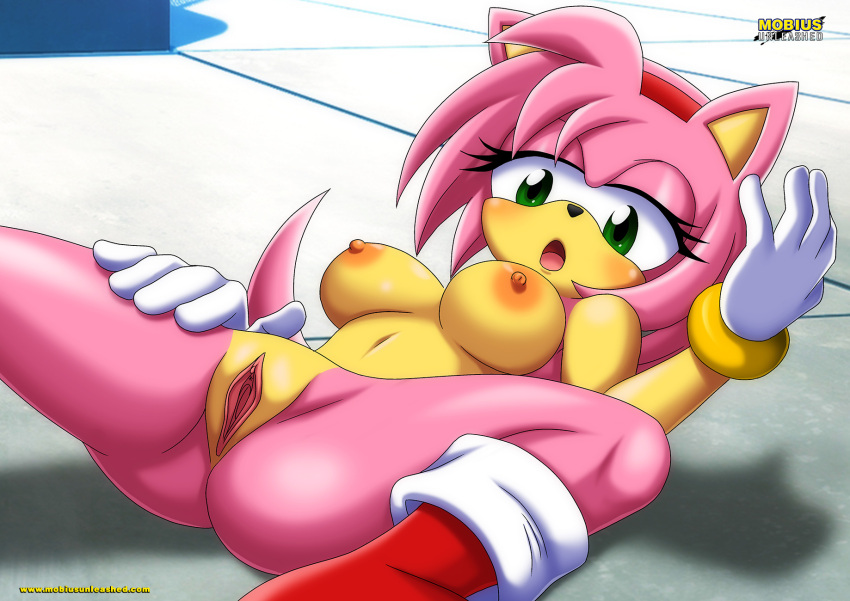 amy_rose bbmbbf mobius_unleashed palcomix sega sonic_the_hedgehog_(series)