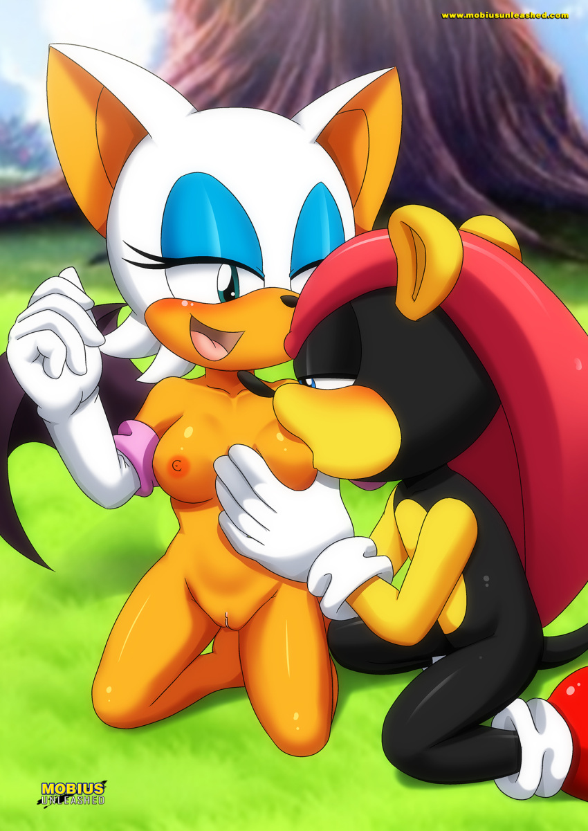bbmbbf blush breasts glove holding_breast mighty_the_armadillo mobius_unleashed palcomix rouge_the_bat sega sucking_breasts vagina white_fur