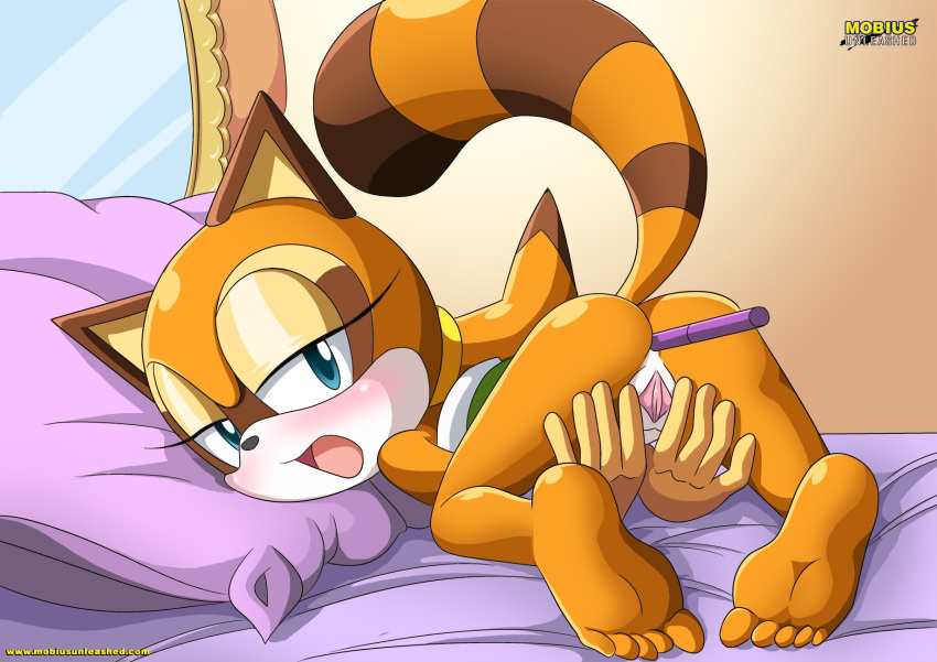1girl anal anal_dildo anal_insertion asking_for_it ass bbmbbf blue_eyes blush dildo female horny looking_at_viewer marine_the_raccoon mobius_unleashed palcomix presenting pussy sega solo sonic_(series) sonic_team sonic_the_hedgehog_(series) spreading