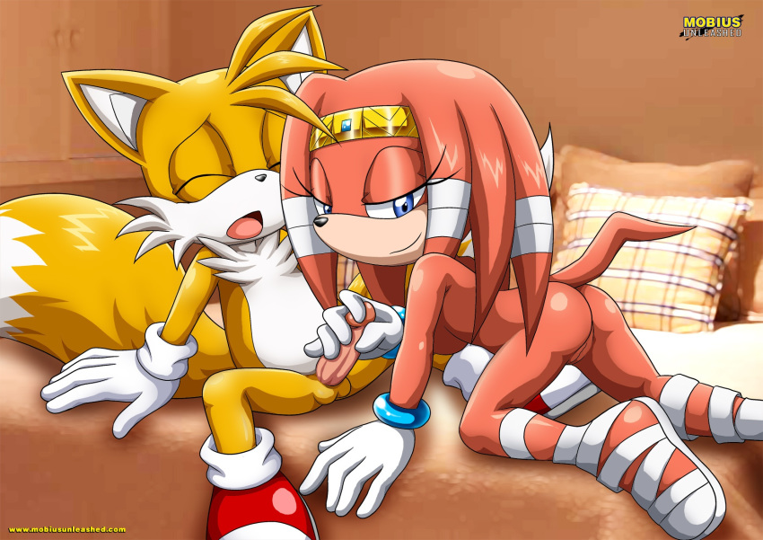 alluring bbmbbf handjob looking_at_viewer miles_"tails"_prower mobius_unleashed palcomix sega sonic sonic_(series) sonic_the_hedgehog_(series) tikal_the_echidna