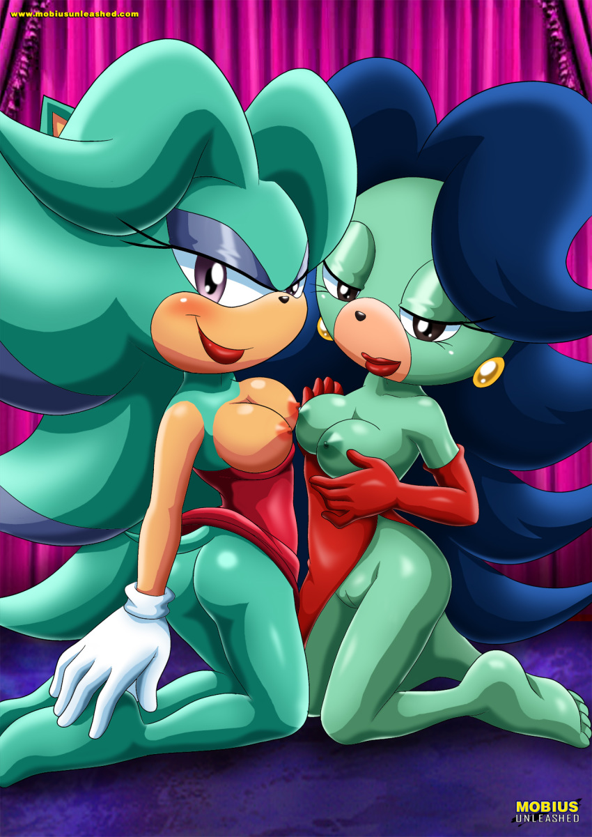 2girls adventures_of_sonic_the_hedgehog aqua_fur archie_comics bbmbbf big_breasts breasts breezie_the_hedgehog furry mobius_unleashed multiple_girls palcomix sega sonic_(series) sonic_the_hedgehog_(series)