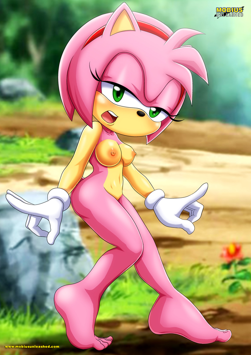 amy_rose bbmbbf furry mobius_unleashed palcomix sega