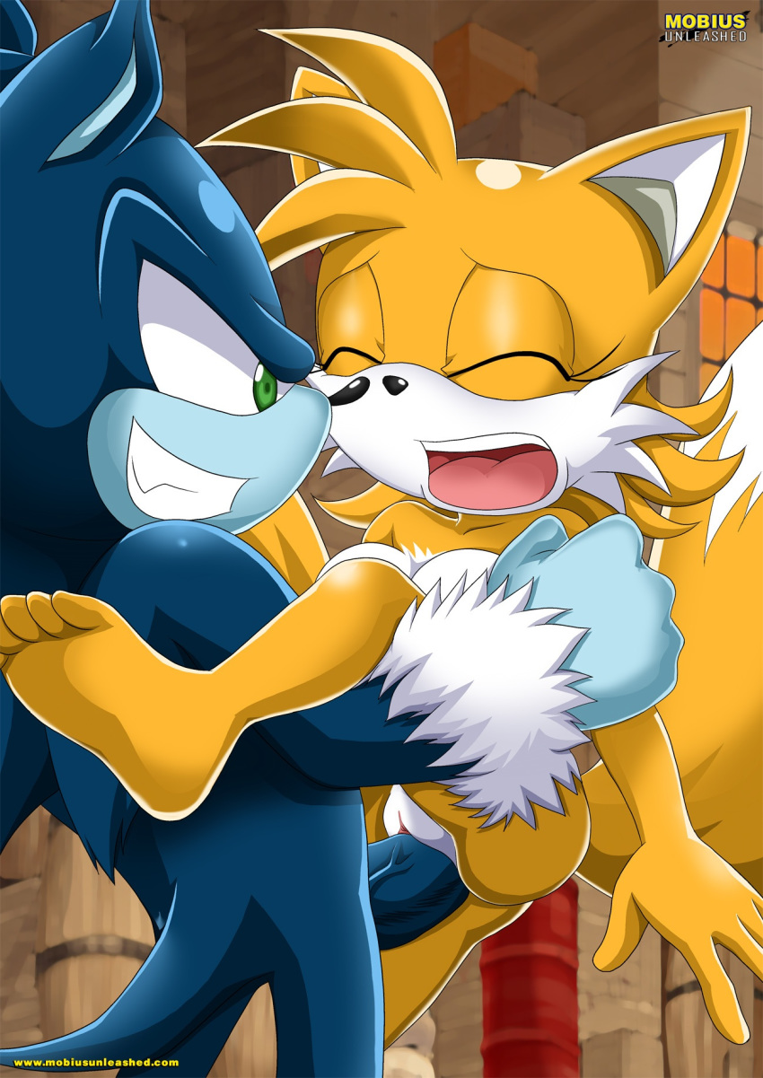 against_wall bbmbbf breasts canine crossgender exposed female fox fur genderswap gloves hedgehog male miles_"tails"_prower millie_tailsko mobius_unleashed palcomix sega sex sonic_(series) sonic_team sonic_the_hedgehog sonic_the_hedgehog_(series) sonic_the_werehog spread_legs spreading straight_sex vaginal werehog wolf