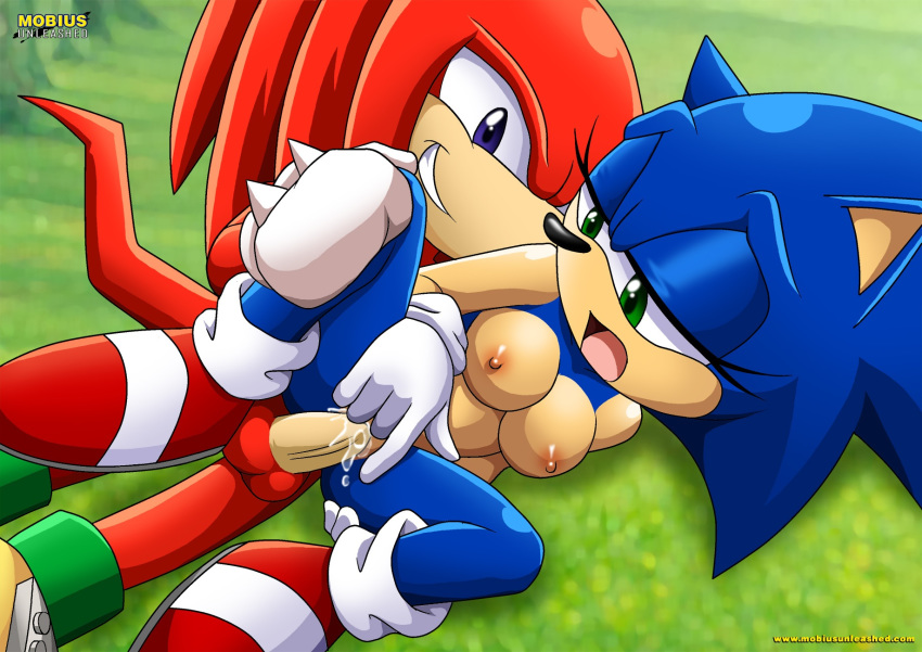 bbmbbf breasts crossgender cum cum_in_pussy cum_inside echidna exposed eyelashes female from_behind furry genderswap hedgehog knuckles_the_echidna male male/female mobius_unleashed nipples palcomix penetration sega sex shoes sonic_(series) sonic_the_hedgehog sonic_the_hedgehog_(series) sonica_the_hedgehog spooning straight_sex vaginal vaginal_penetration