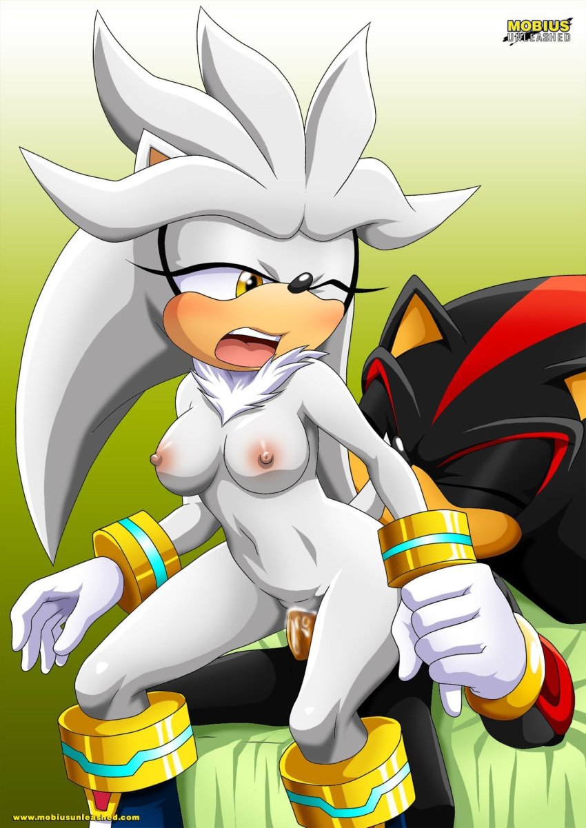 bbmbbf blush boots breasts crossgender exposed female frisky_levy_hogs hedgehog hetero male mobius_unleashed palcomix penetration rodent sega sex shadow_the_hedgehog silver_the_hedgehog sonic_(series) sonic_the_hedgehog_(series)