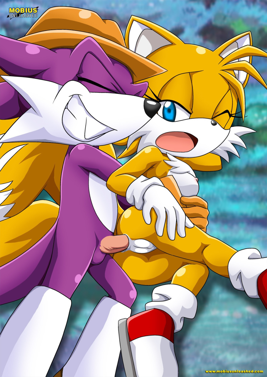 anal anal_sex bbmbbf crossgender fang_the_sniper female_tails genderswap miles_"tails"_prower millie_tailsko mobius_unleashed nack_the_weasel palcomix sega sex sonic_(series) sonic_team sonic_the_hedgehog_(series)