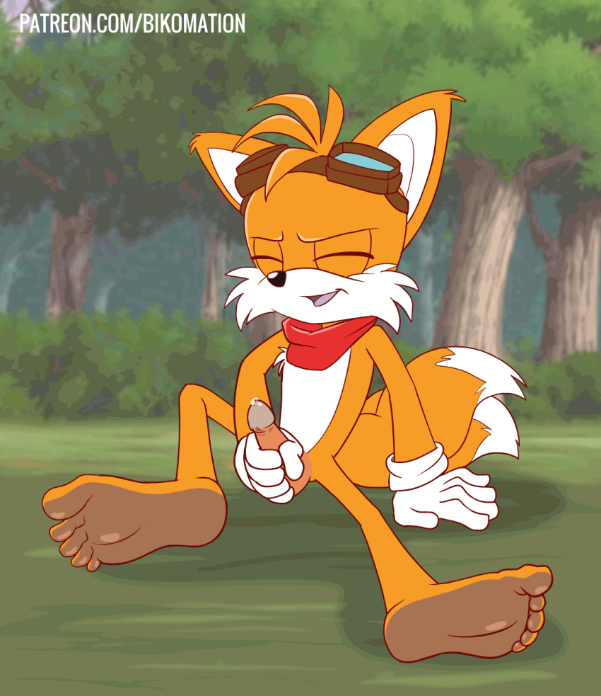 1boy animated anthro balls barefoot bikomation closed_eyes gif goggles_on_head loop male masturbation miles_"tails"_prower multiple_tails open_mouth outside penis precum scarf sega sonic_the_hedgehog_(series) tongue tongue_out white_belly white_gloves yellow_fur