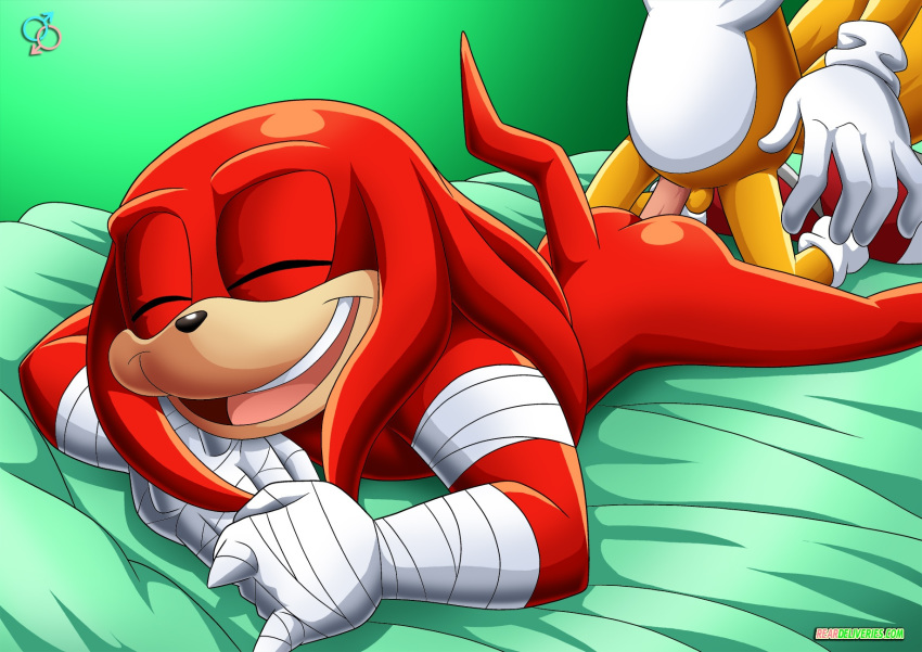 anal anal_sex bandages bbmbbf dat_face knuckles_the_echidna male_only miles_"tails"_prower mobius_unleashed palcomix rear_deliveries reardeliveries sega sex sonic_(series) sonic_boom sonic_team sonic_the_hedgehog_(series) testicles yaoi