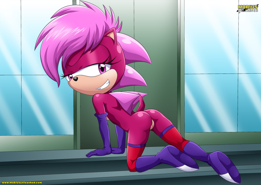 1girl all_fours anthro ass bbmbbf boots elbow_gloves female looking_back mobius_unleashed naughty_face palcomix pink_hair purple_fur pussy sega smile solo sonia_the_hedgehog sonic_(series) sonic_the_hedgehog_(series) sonic_underground stockings