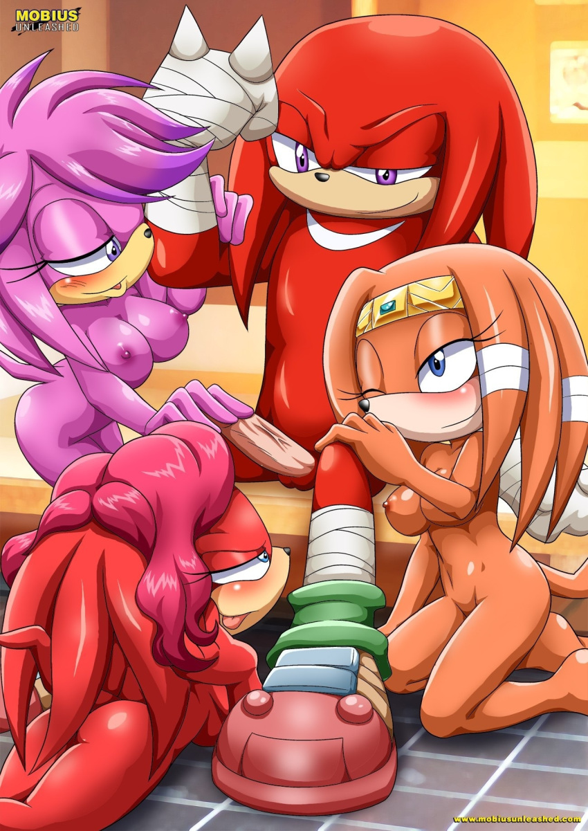 admire admiring archie_comics asking_for_it barefoot bbmbbf big_penis horny julie-su knuckles_the_echidna lien-da mobius_unleashed palcomix penis sega sonic_(series) sonic_boom sonic_team sonic_the_hedgehog_(series) tikal_the_echidna