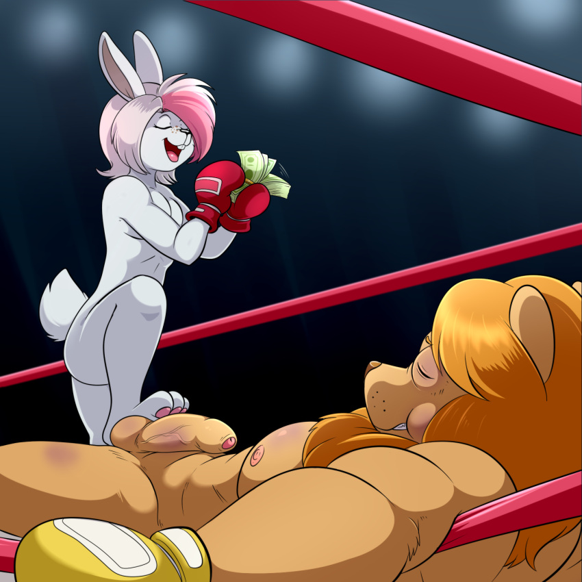 boxing boxing_gloves boxing_ring bunny penis