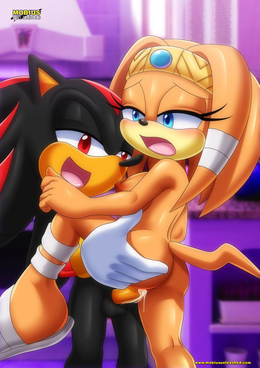 bbmbbf dat_ass mobius_unleashed palcomix sega shadow_the_hedgehog sonic_the_hedgehog_(series) tikal_the_echidna