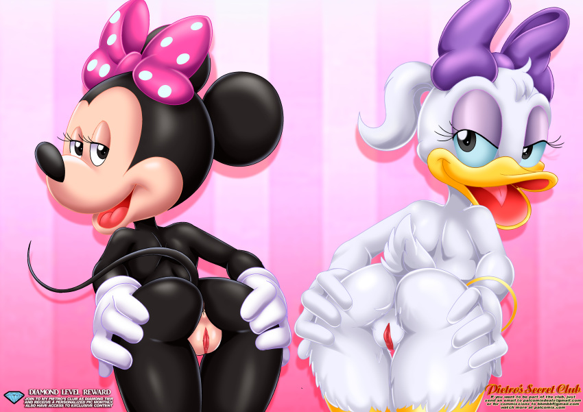 2_girls anus ass bbmbbf daisy_duck disney fur34 fur34* looking_at_viewer minnie_mouse nude palcomix pietro's_secret_club pussy tagme