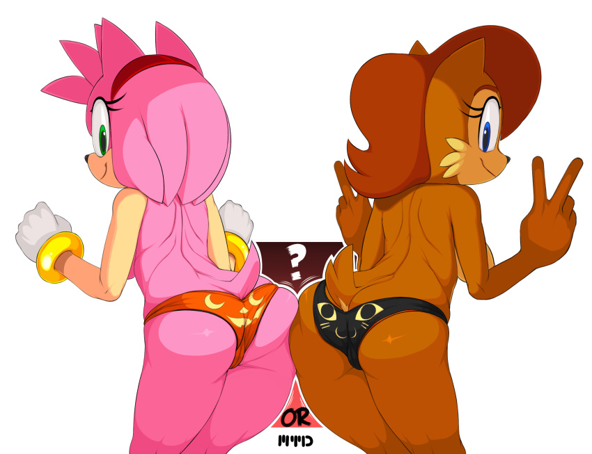 2014 alpha_channel amy_rose anthro ass big_ass breasts brown_fur chipmunk clothing duo feline female female_only fur furry halloween hedgehog holidays jack-o'-lantern mammal marthedog panties pink_fur presenting presenting_hindquarters pumpkin rodent sally_acorn sega smile sonic_(series) sonic_the_hedgehog_(series) squirrel standing thick_thighs topless trick_or_treat underwear v video_games wide_hips