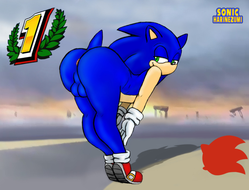 anthro ass bent_over big_ass furry girly gloves half-closed_eyes hedgehog huge_ass looking_back mammal nude presenting seductive sega shoes sketch smile solo sonic_(series) sonic_the_hedgehog sonicharinezumi super_smash_bros. testicles wide_hips