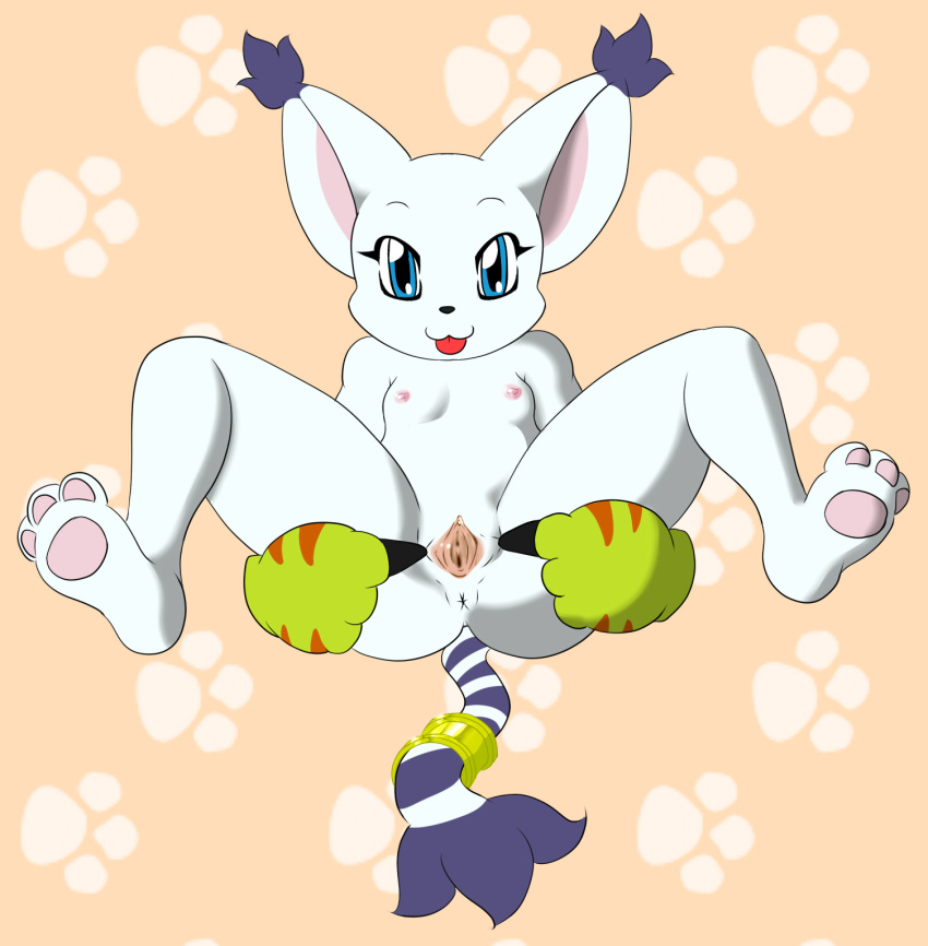 anus blue_eyes cat digimon feline full_body gatomon inviting small_breasts spread_legs spread_pussy tongue tongue_out white_fur