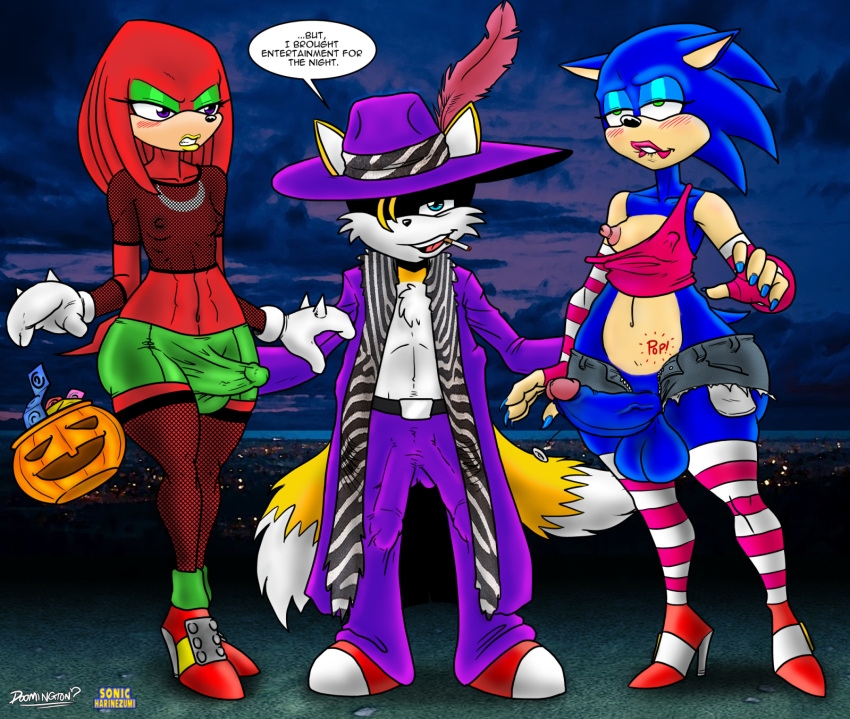 anthro blush breasts dickgirl doomington english_text femboy furry girly group knuckles_the_echidna male miles_"tails"_prower multi_penis multiple_penises penis pimp_hat sega small_breasts sonic_(series) sonic_the_hedgehog sonicharinezumi text wide_hips yaoi