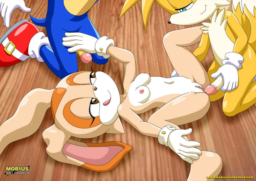 1girl 2boys anthro bbmbbf cream_the_rabbit furry group group_sex half-closed_eyes imminent_sex male miles_"tails"_prower mobius_unleashed nude palcomix penis pussy rabbit sega small_breasts sonic_(series) sonic_the_hedgehog sonic_the_hedgehog_(series) spread_legs threesome tongue_out young