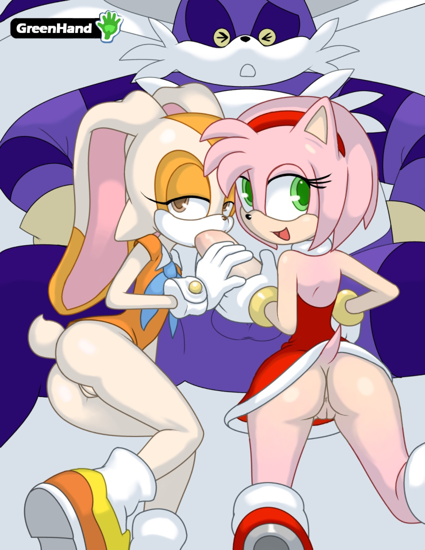 1_boy 1boy 2_girls 2girls amy_rose ass big_the_cat cream_the_rabbit fellatio furry greenhand looking_at_viewer looking_back multiple_girls no_panties oral pussy sega sonic_the_hedgehog_(series) sonic_x