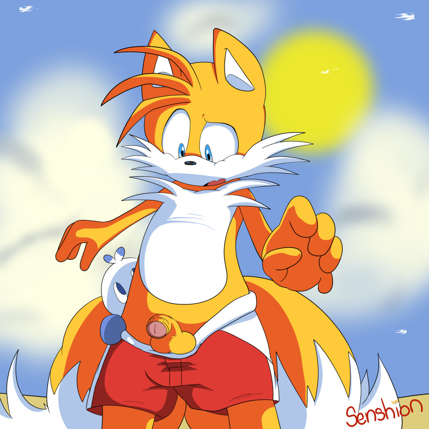 absurd_res ambiguous_gender anthro canine chao clothed clothing cute fox fur furry half-dressed hero_chao highres looking_down looking_up male mammal miles_"tails"_prower outside penis senshion shorts size_difference sonic_(series) standing testicles tongue uncut undressing video_games