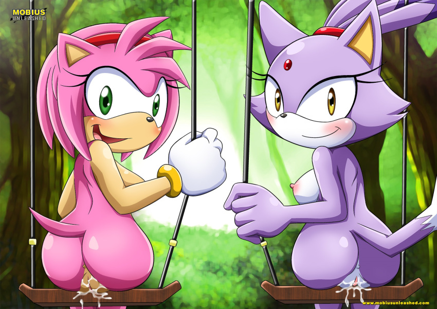 amy_rose ass bbmbbf blaze_the_cat blush looking_at_viewer mobius_unleashed palcomix sega smile sonic_(series) sonic_the_hedgehog_(series) tagme