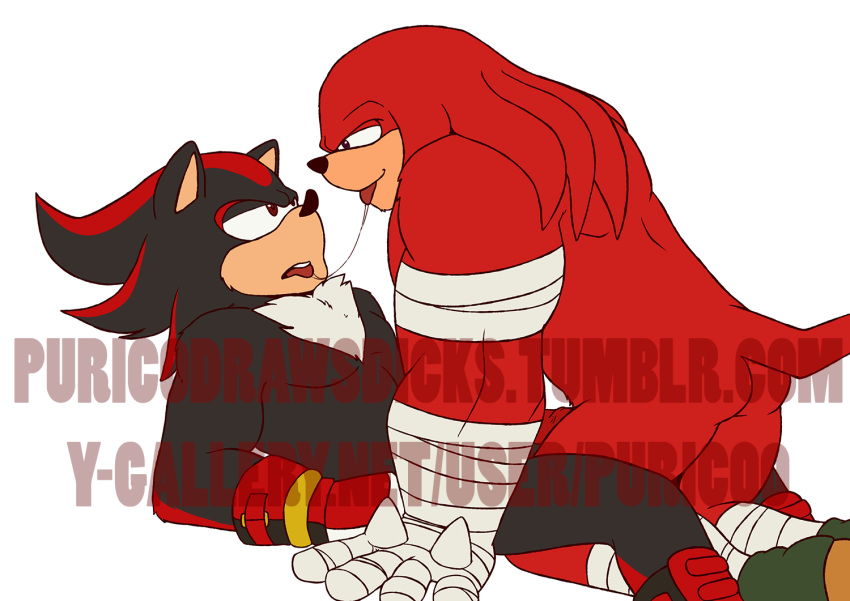 annoying_watermark anthro ass duo echidna hedgehog knuckles_the_echidna male male/male mammal monotreme muscle penis purico shadow_the_hedgehog sonic_(series) sonic_boom watermark