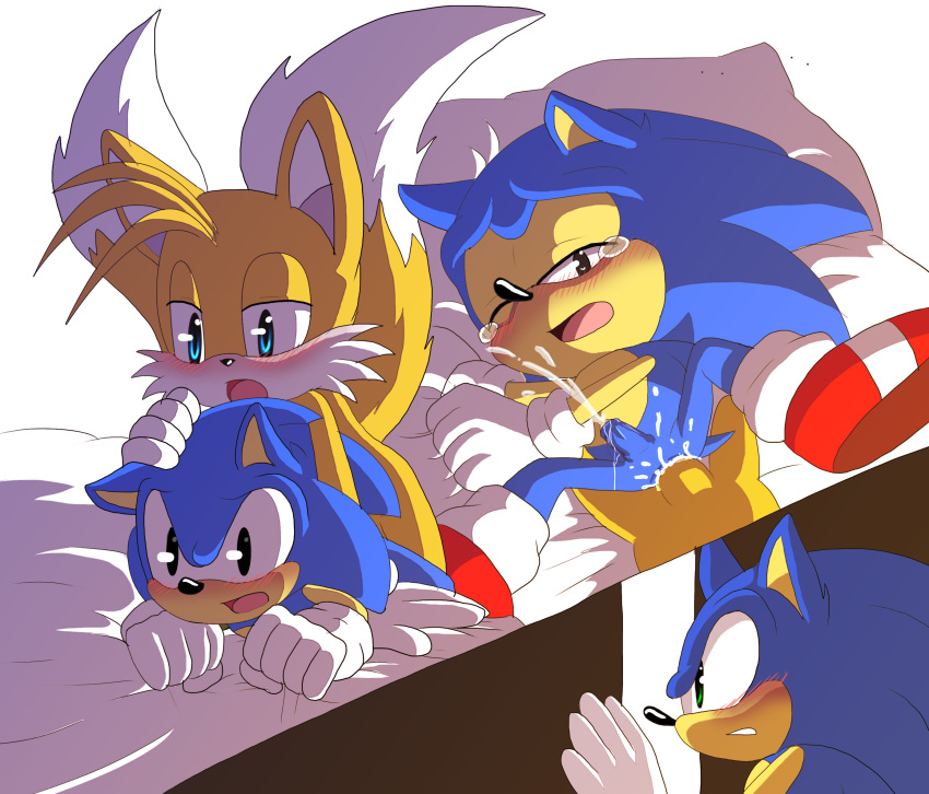 anal angelofhapiness anthro blush canine duo fox fur furry green_eyes hedgehog male male/male mammal miles_"tails"_prower penetration penis sega sex sonic_freestyle sonic_the_hedgehog square_crossover video_games