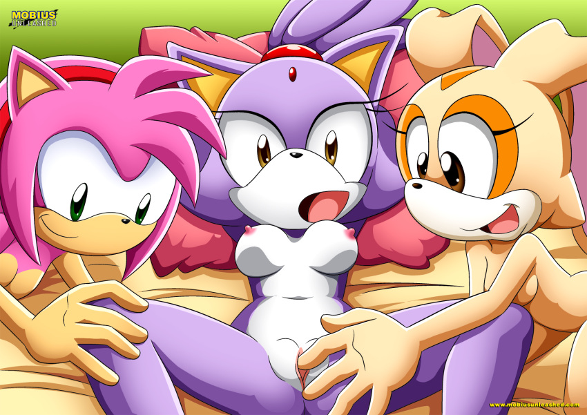 3girls amy_rose anthro bbmbbf blaze_the_cat cream_the_rabbit furry mobius_unleashed palcomix sega sonic_(series) sonic_the_hedgehog_(series) tagme