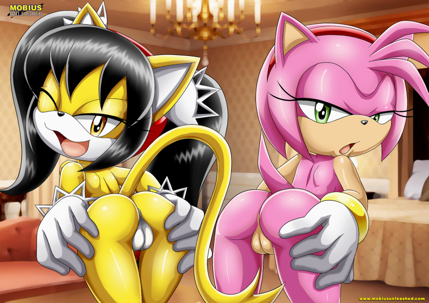 2girls amy_rose anthro anus archie_comics ass bbmbbf bent_over female furry honey_the_cat looking_back mobius_unleashed palcomix pussy sega sonic_(series) sonic_the_hedgehog_(series) tagme