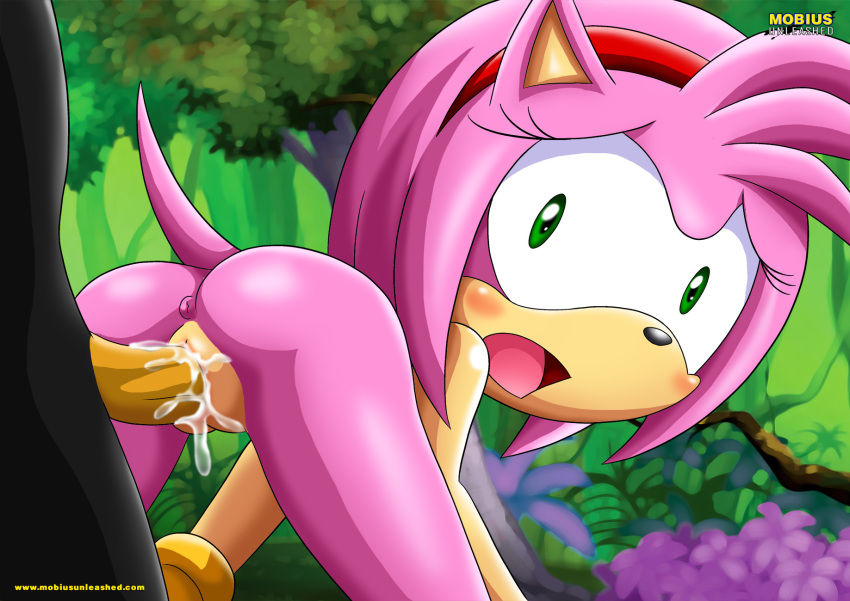 amy_rose ass bbmbbf blush mobius_unleashed nude palcomix pussy sega shadow_the_hedgehog sonic_(series) sonic_the_hedgehog_(series) tagme