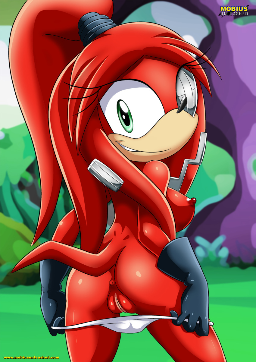 1girl anthro anus archie_comics areolae ass bbmbbf breasts cybernetic_eye echidna female female_only furry gae-na mobius_unleashed nipples palcomix panties panty_pull ponytail sega sideboob solo sonic_(series) sonic_the_hedgehog_(series)