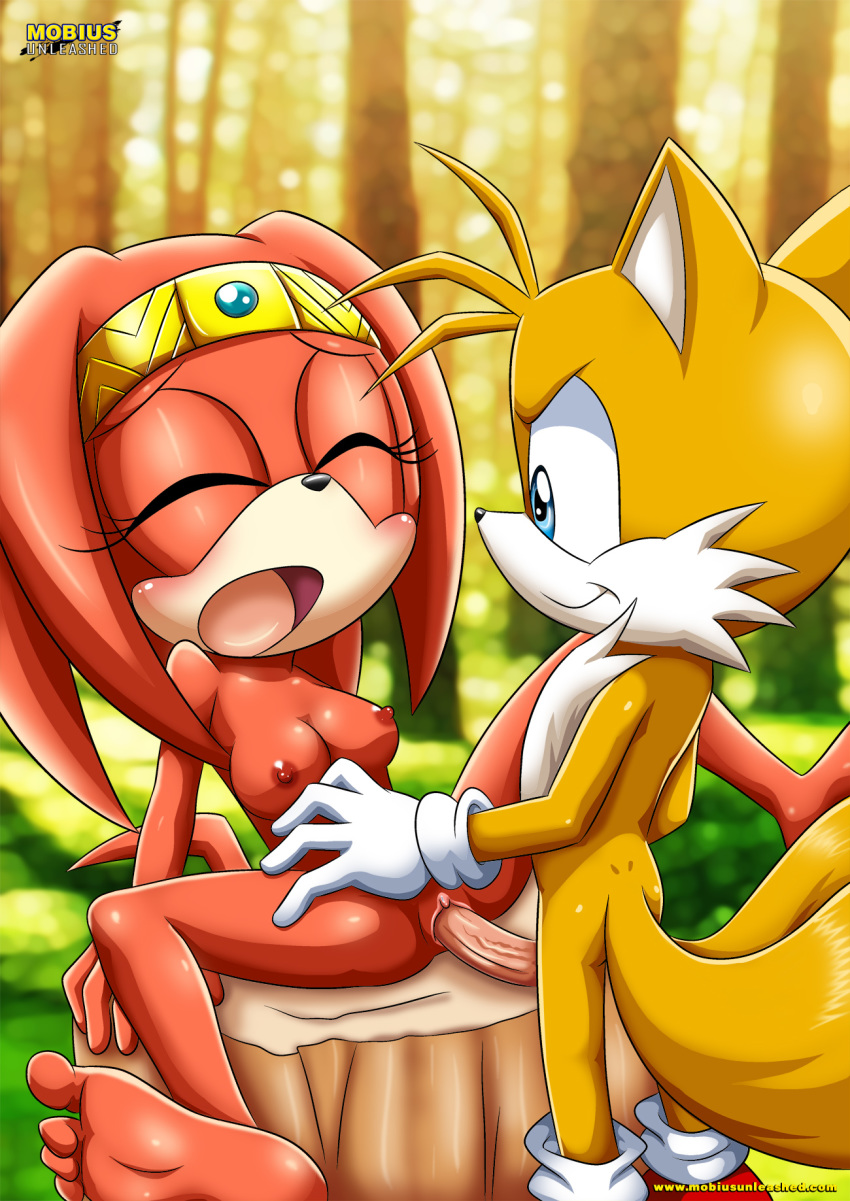 1girl alluring bbmbbf furry miles_"tails"_prower mobius_unleashed multiple_tails nipples palcomix sega sex sonic_(series) sonic_the_hedgehog_(series) tail tikal_the_echidna