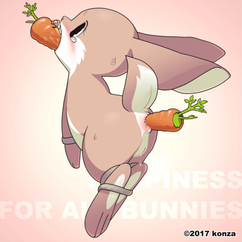 1girl anthro anthro_only ass bunny female_anthro furry furry_only gif konzaburou pussy pussy_juice pussy_juice_drip rope sweat sweaty_body tears text