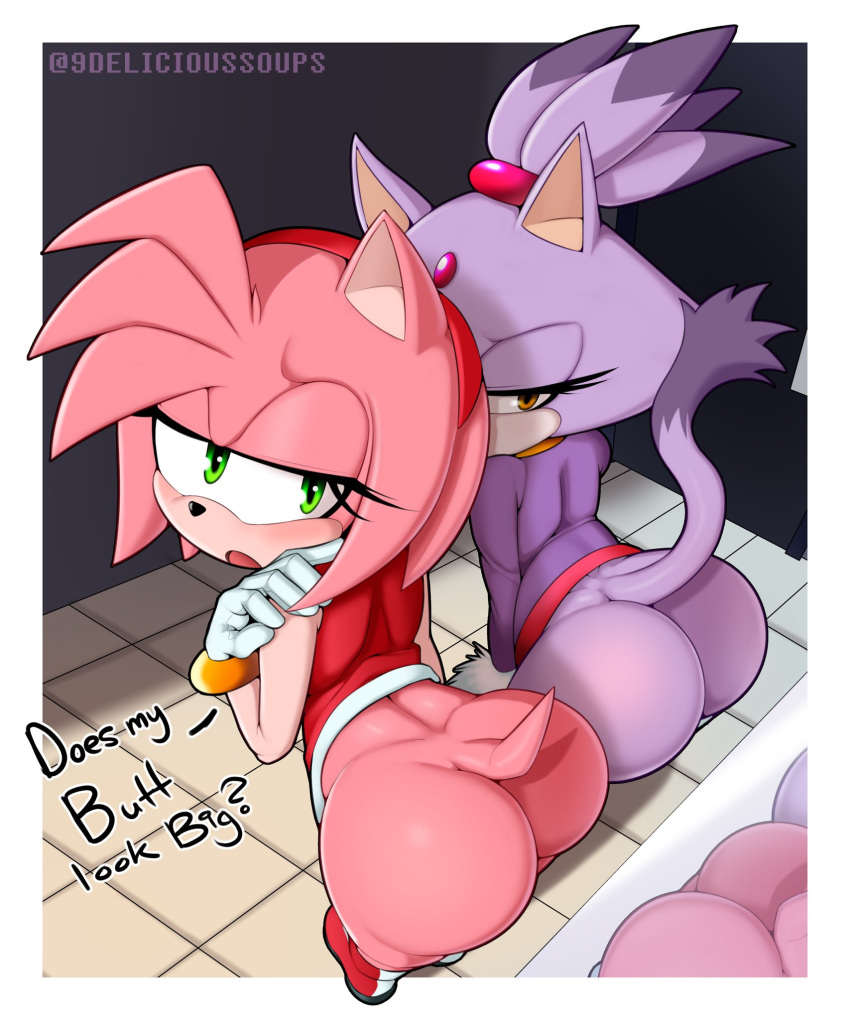 2_girls amy_rose blaze_the_cat deliciousoup english_text furry furry_female furry_only sega sonic_the_hedgehog_(series)