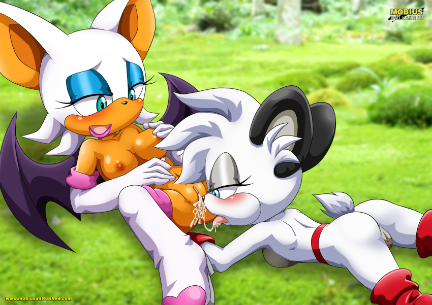 2girls archie_comics barby_koala bbmbbf furry mobius_unleashed multiple_girls palcomix pussy rouge_the_bat sega sonic_(series) sonic_the_hedgehog_(series) tagme yuri