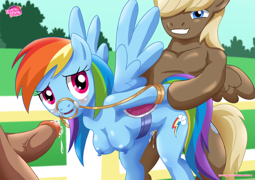 1girl 2boys blush breasts bridle cutie_mark equestria_untamed erection friendship_is_magic from_behind looking_at_viewer my_little_pony penis rainbow_dash sex tagme tail wings