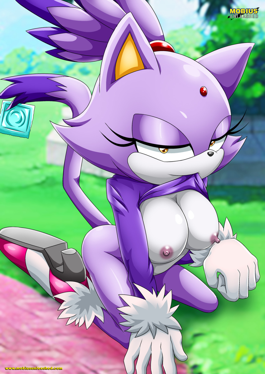 1girl anthro bbmbbf blaze_the_cat breasts feline mobius_unleashed palcomix sega sonic_(series) sonic_the_hedgehog_(series) tagme