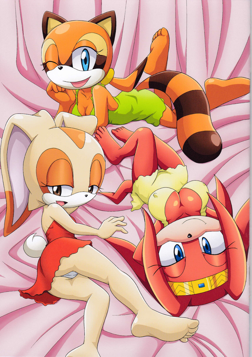 3girls animal_ears ass bbmbbf bed big_breasts blue_eyes breasts brown_eyes bunny_ears cream_the_rabbit furry lingerie looking_at_viewer marine_the_raccoon mobius_unleashed multiple_girls nipples palcomix poolside_fun poolside_fun_extended pussy sega smile sonic_(series) sonic_the_hedgehog_(series) tail tikal_the_echidna underwear wink