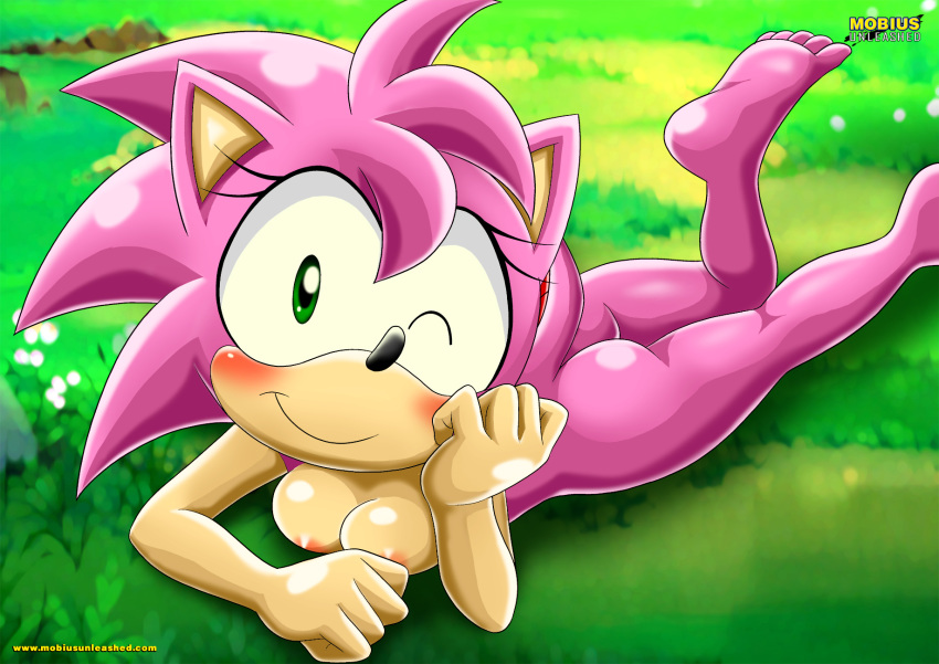 1girl amy_rose amy_rose_(classic) bbmbbf breasts furry mobius_unleashed palcomix rosy_the_rascal sega sonic_(series) sonic_the_hedgehog_(series) tagme