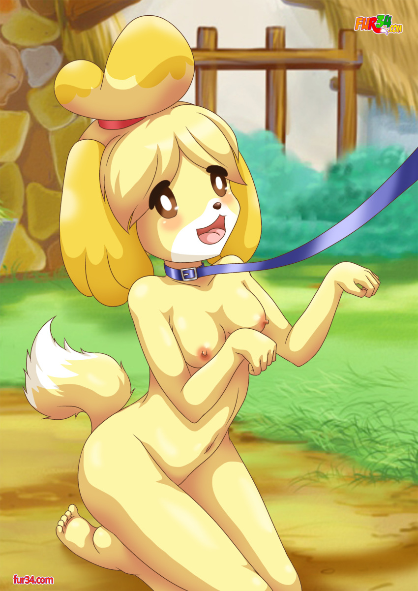 animal_crossing animal_crossing_new_leaf bbmbbf breasts canid canine canine_humanoid doubutsu_no_mori fur34 fur34* furry hair_tie isabelle_(animal_crossing) jingle_bell mammal nintendo palcomix ponytail secretary shih_tzu shizue_(doubutsu_no_mori) thick_ass thick_legs thick_thighs yellow_fur