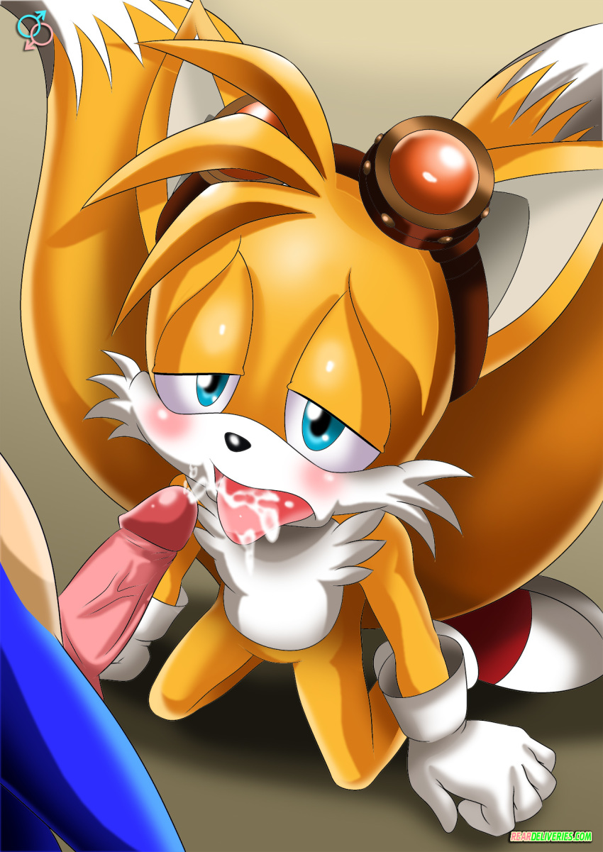 bbmbbf furry miles_"tails"_prower mobius_unleashed multiple_tails palcomix rear_deliveries sega sonic_(series) sonic_boom sonic_the_hedgehog sonic_the_hedgehog_(series) tagme tail yaoi