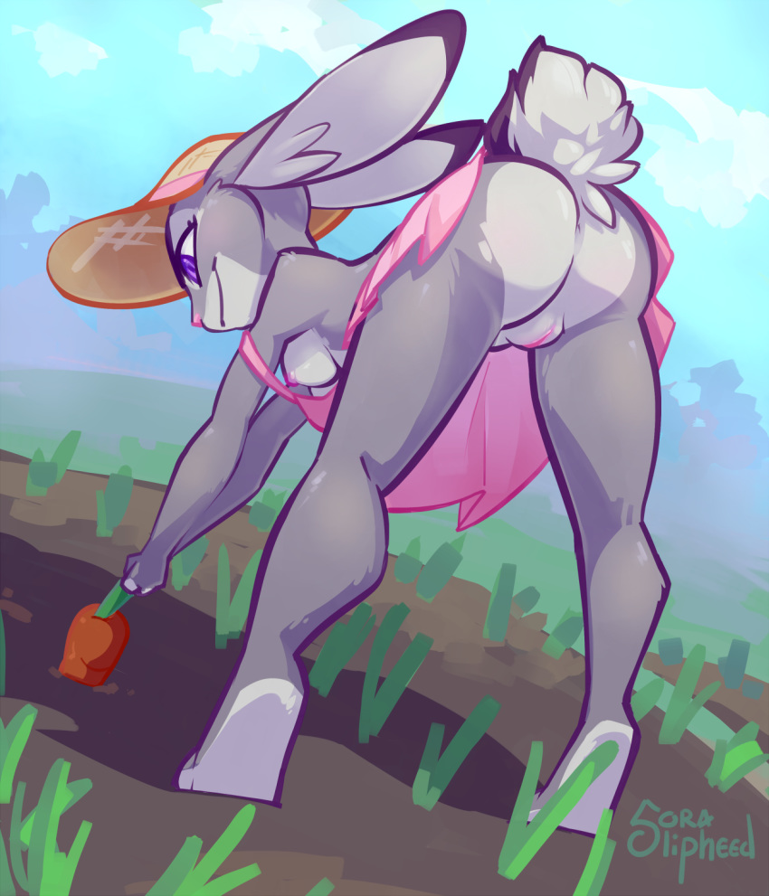 1girl 2016 anthro anus ass bent_over bottomless breasts carrot clothed clothing disney erect_nipples food front_pussy furry grey_hair hair hat high_res inner_ear_fluff judy_hopps lagomorph low-angle_view mammal nipples off_shoulder outside purple_eyes pussy rabbit rear_view sideboob small_breasts smile soraslipheed upskirt vegetable zootopia