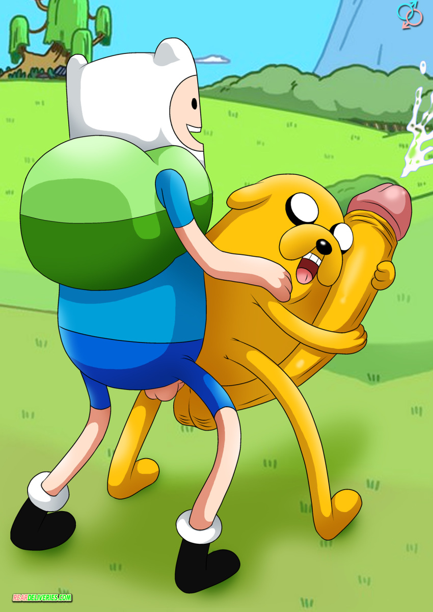 adventure_time finn_the_human jake_the_dog palcomix penis rear_deliveries yaoi