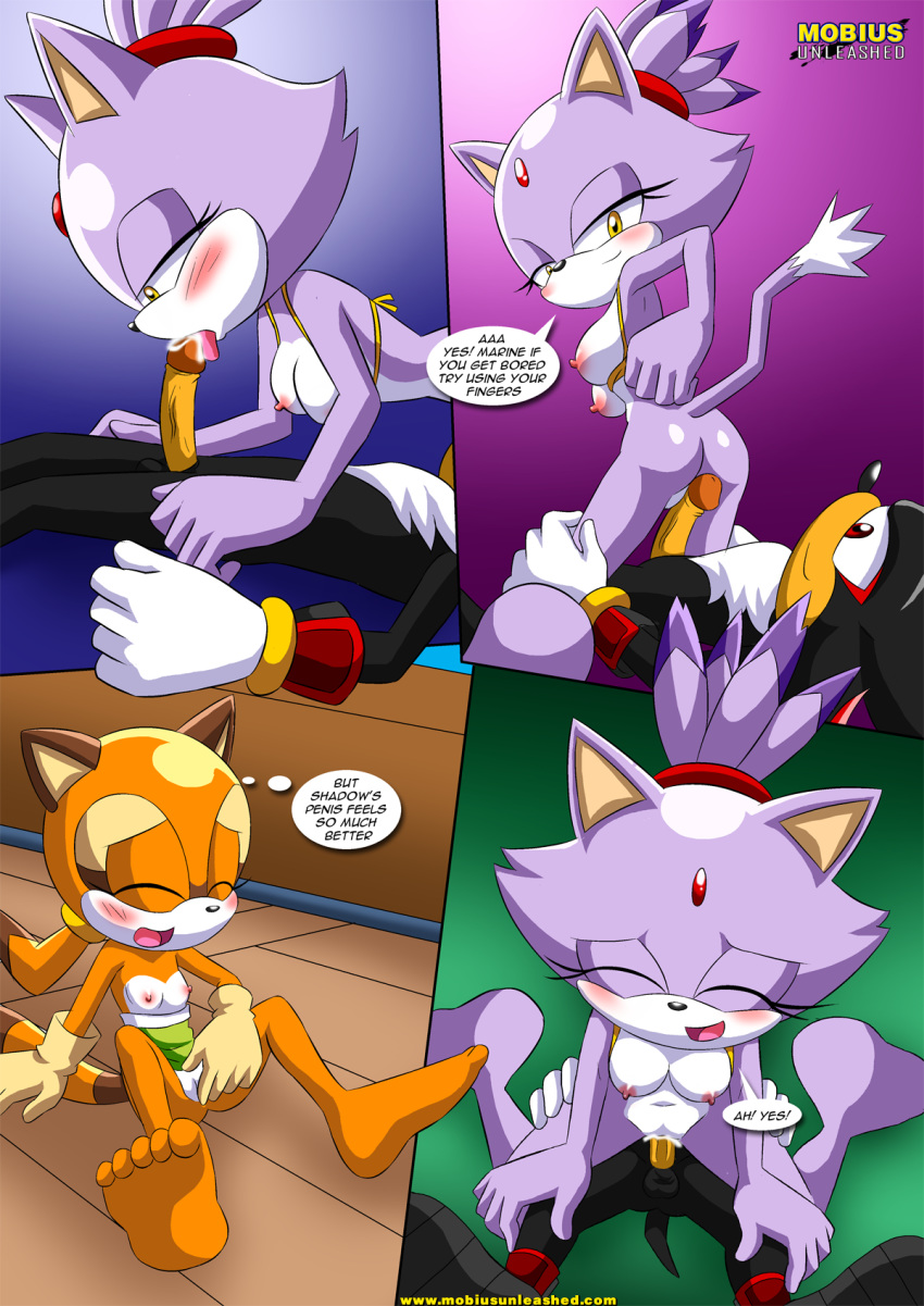 1boy 2girls bbmbbf blaze_the_cat fellatio fingering flat_chest furry looking_down marine_the_raccoon mobius_unleashed multiple_girls palcomix pleasure_face pussy reverse_cowgirl_position rubbing_pussy sega shadow_the_hedgehog sitting_on_penis sonic_(series) sonic_the_hedgehog_(series) surrender_the_booty