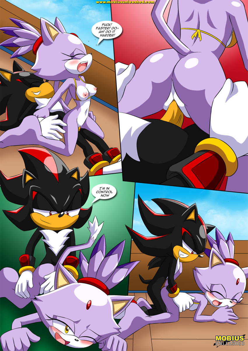 1girl bbmbbf blaze_the_cat furry mobius_unleashed palcomix sega sex shadow_the_hedgehog sonic_(series) sonic_the_hedgehog_(series) surrender_the_booty tagme
