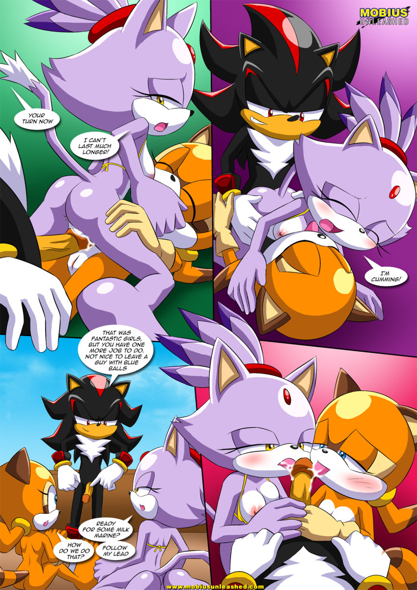 2girls bbmbbf blaze_the_cat furry marine_the_raccoon mobius_unleashed multiple_girls palcomix sega shadow_the_hedgehog sonic_(series) sonic_the_hedgehog_(series) surrender_the_booty tagme