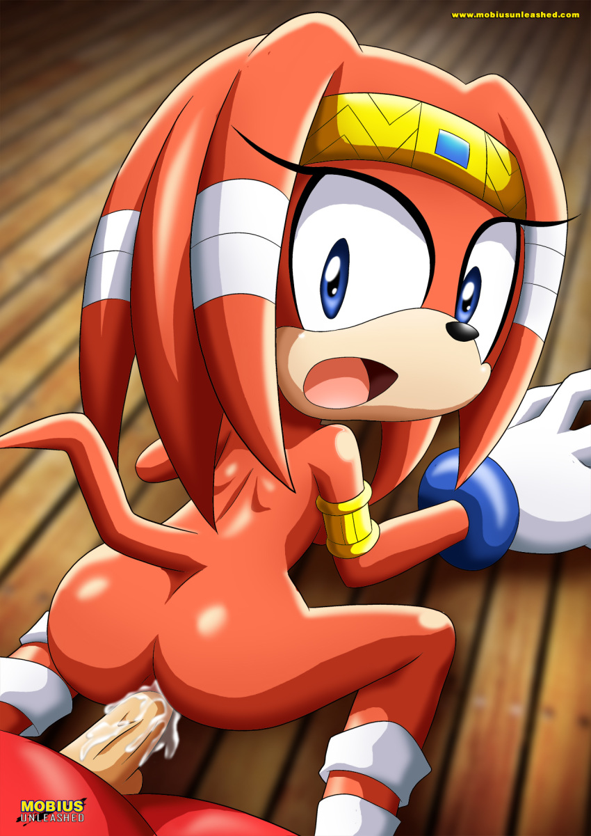 1girl bbmbbf furry knuckles_the_echidna mobius_unleashed palcomix sega sex sonic_(series) sonic_the_hedgehog_(series) tagme tikal_the_echidna