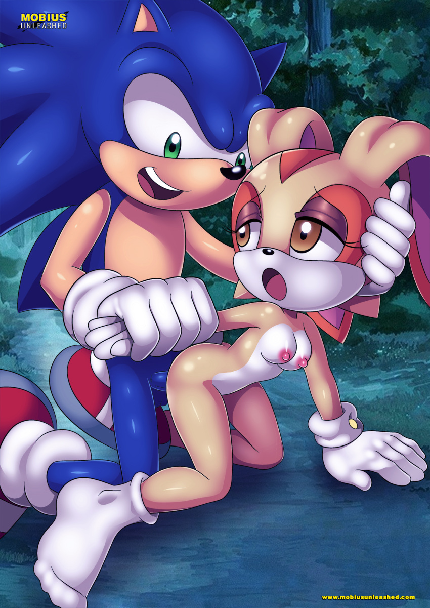 1girl bbmbbf cream_the_rabbit furry mobius_unleashed palcomix sega sonic_(series) sonic_the_hedgehog sonic_the_hedgehog_(series) tagme