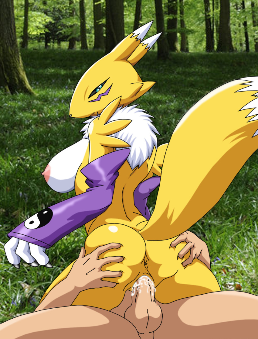 anus arched_back big_breasts breasts cowgirl_position digihentai digimon furry girl_on_top huge_ass looking_at_viewer palcomix renamon straddling tail